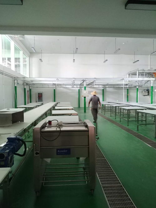 凱斯樂(lè)屠宰設(shè)備與肉類(lèi)深加工設(shè)備成功落戶云南某廠，全面進(jìn)入安裝調(diào)試階段